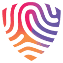 BigID logo